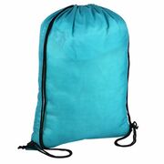 Bag20041